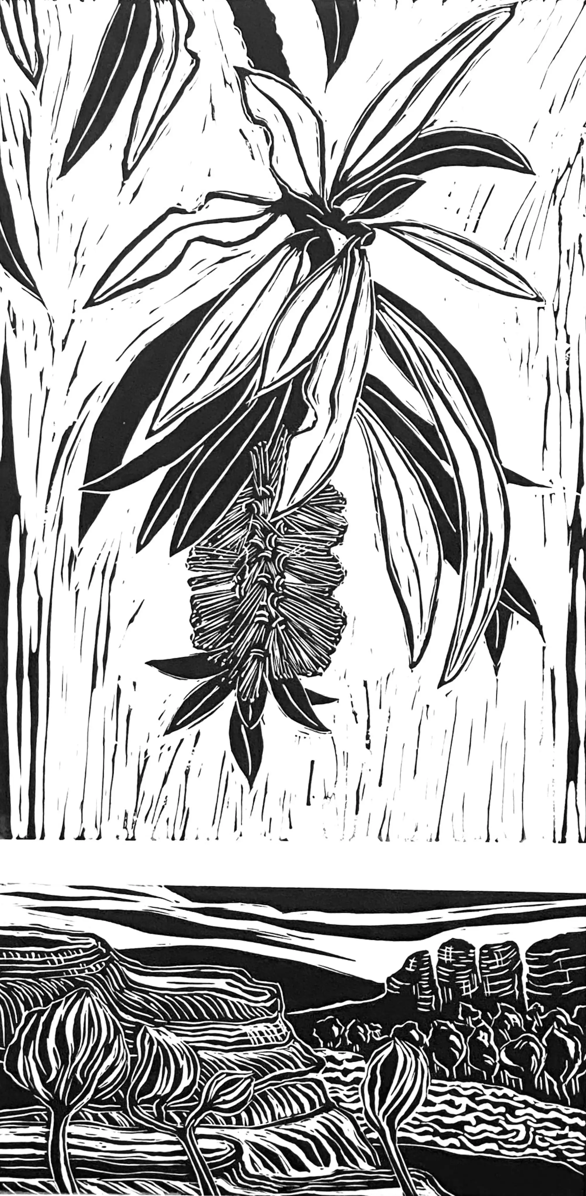 Fahey_Kathy_Callistemon and Landscape 