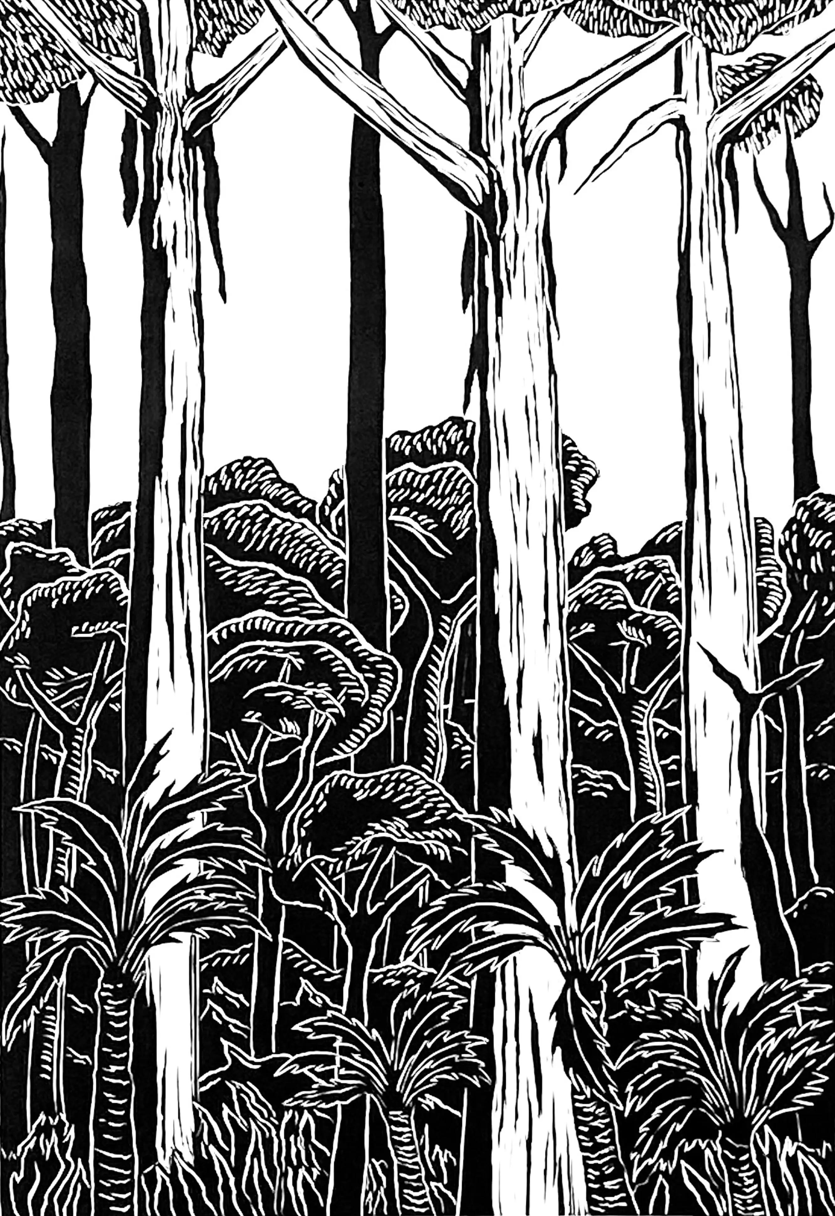 Fahey_Kathy_Forest 
