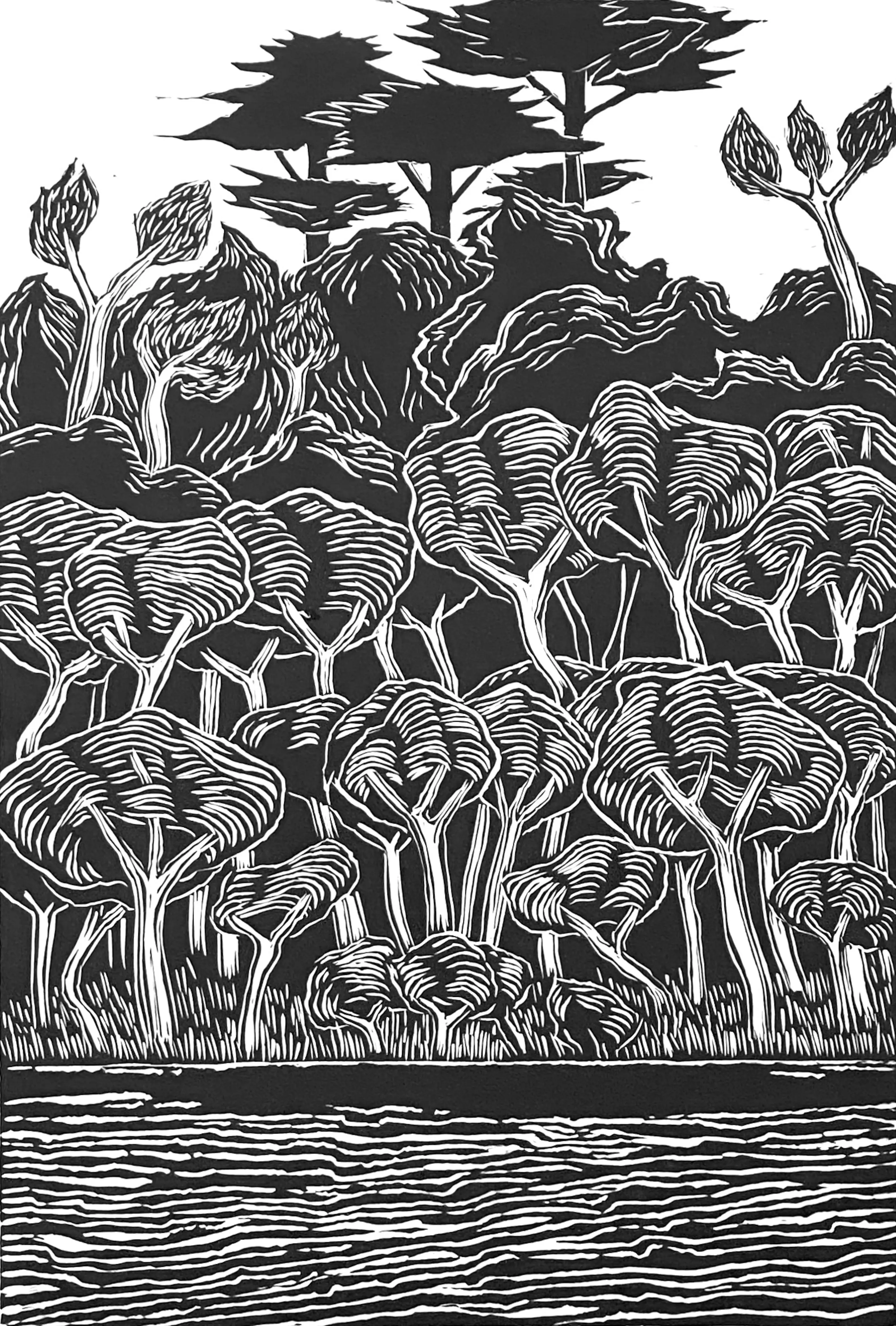 Fahey_Kathy_Tea Tree & Wetlands 