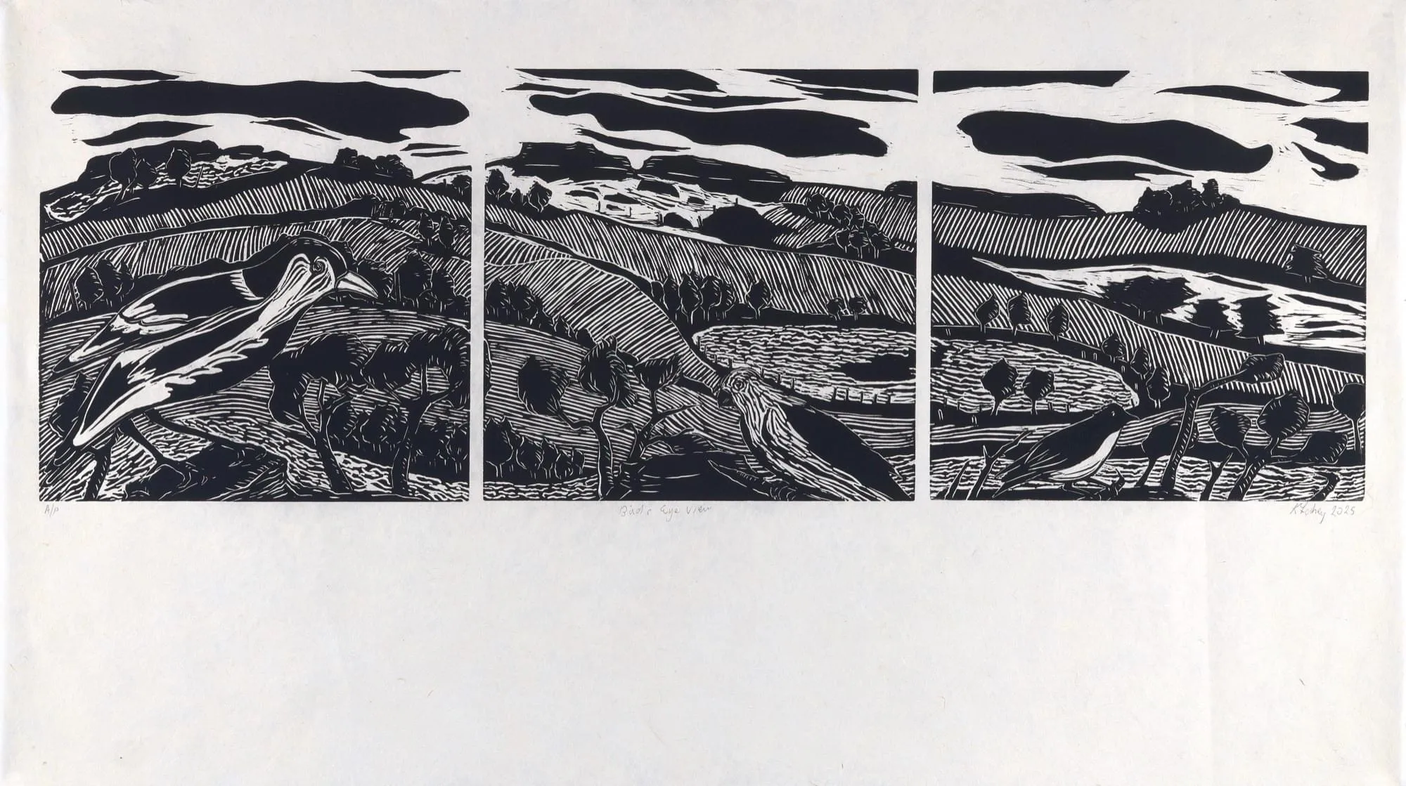 Bird's Eye View Panaroma