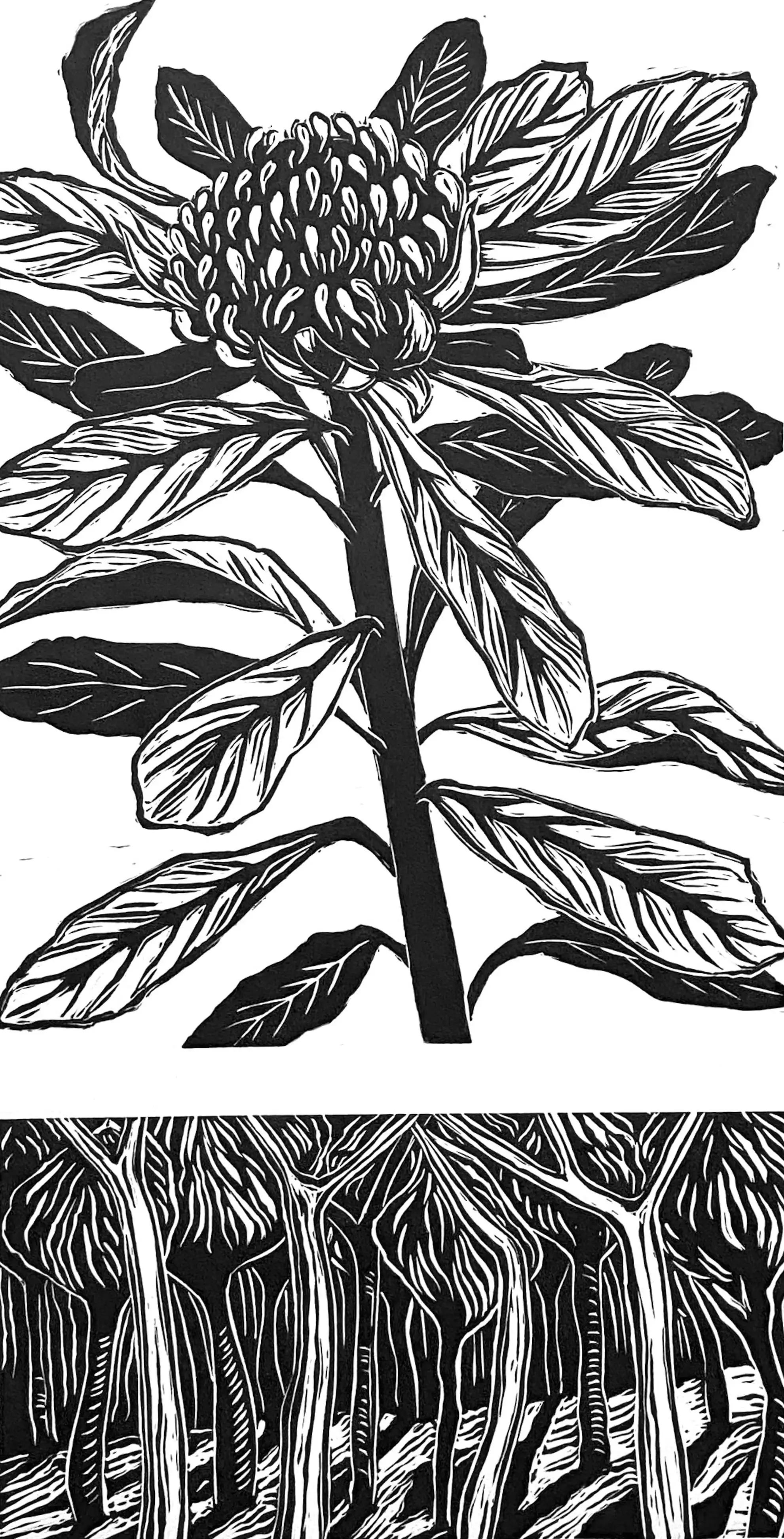 Fahey_Kathy_Waratah and Forest 