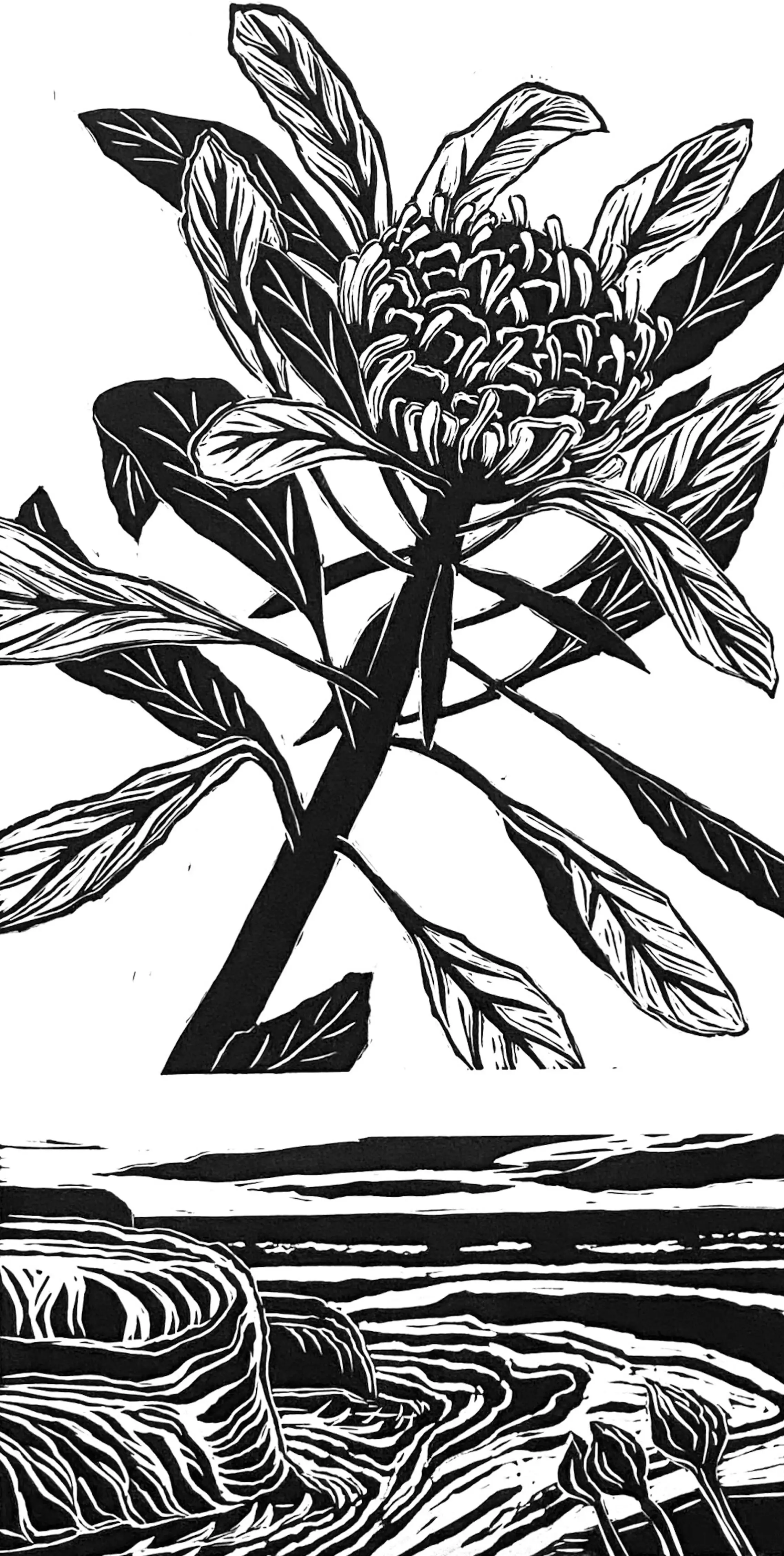 Fahey_Kathy_Waratah and Seascape 