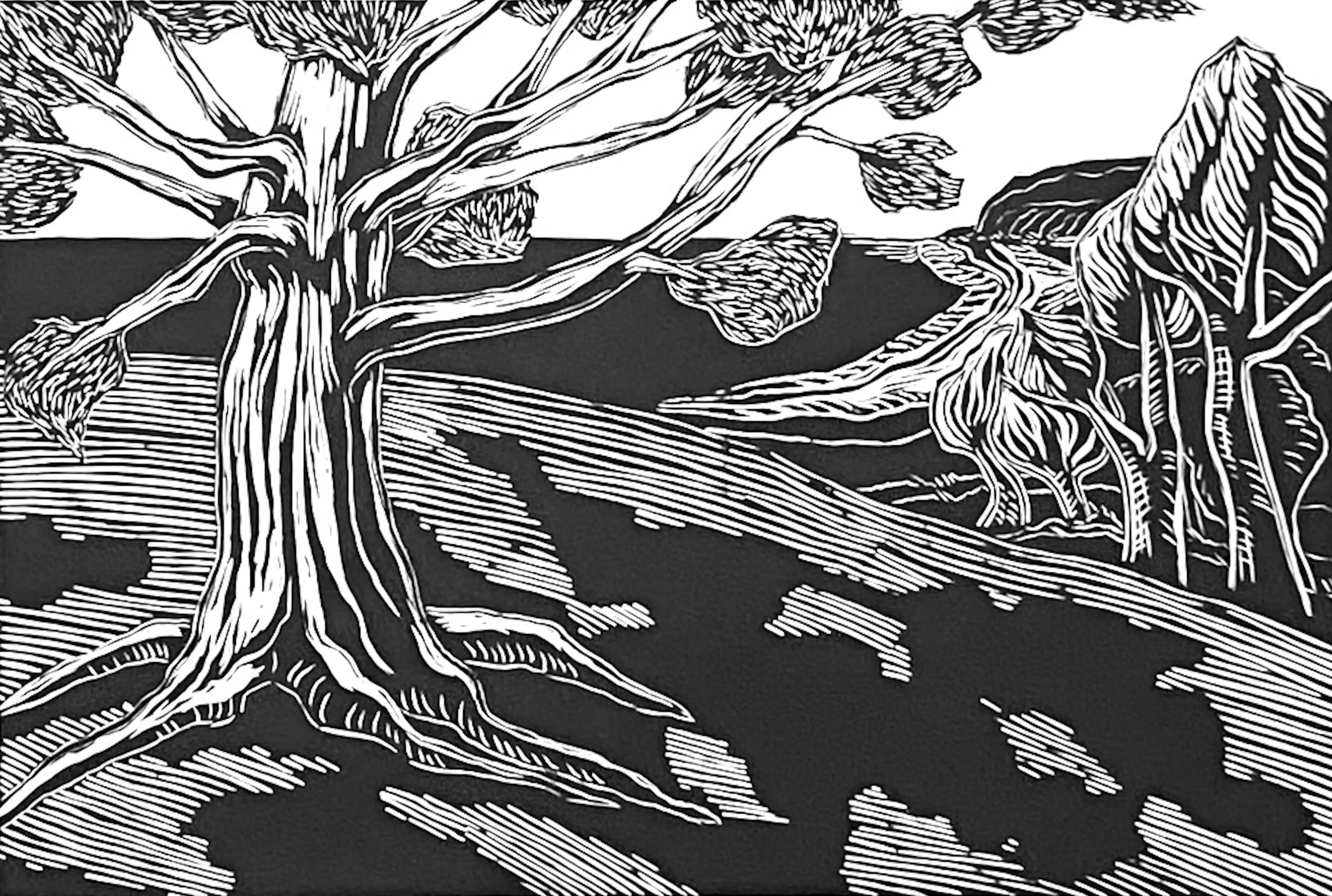 Fahey_Kathy_Mighty Tree 