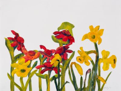 Daffodil Extravaganza