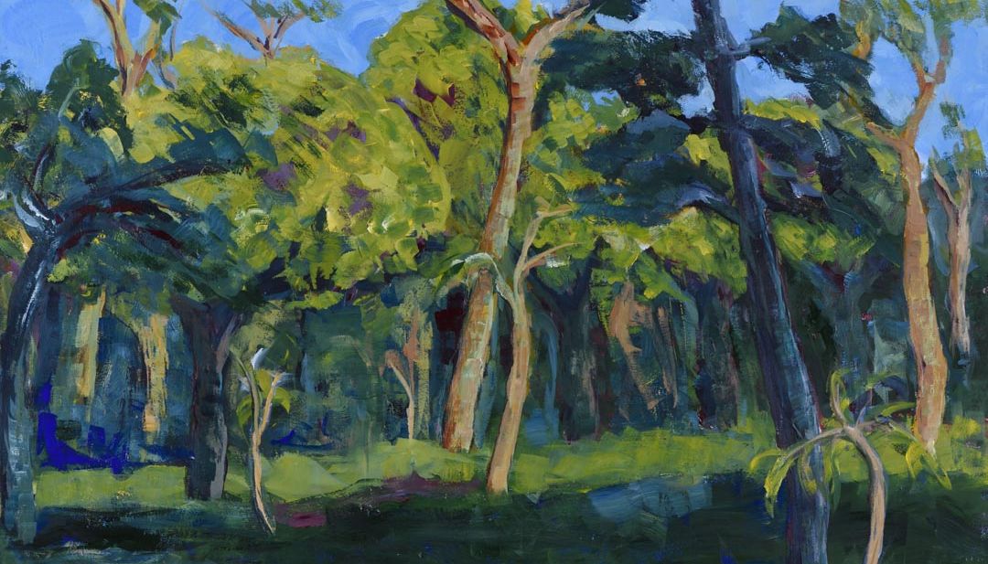 Wattle in the time of Covid 19